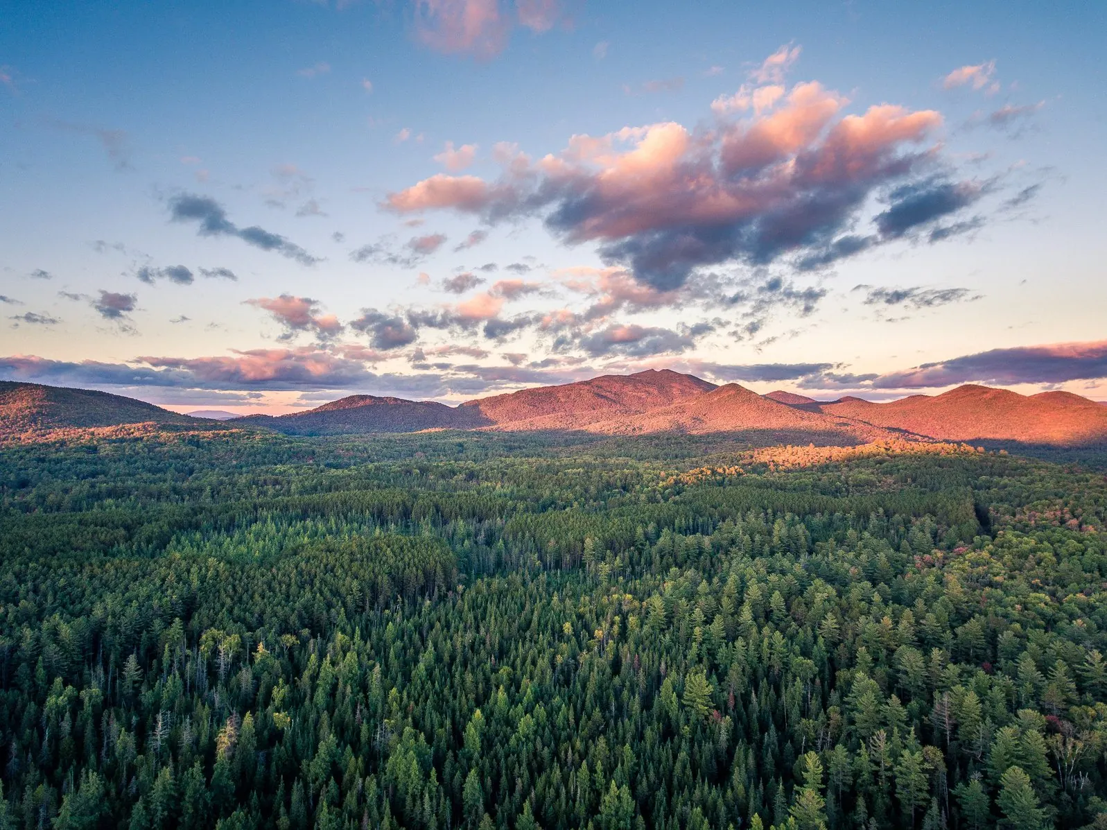 Adirondack forest and mountains at sunset
